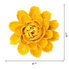 FR14 Burnt Yellow Empire Cabbage Flower - Chive US Wholesale
