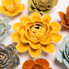 FR14 Burnt Yellow Empire Cabbage Flower - Chive US Wholesale