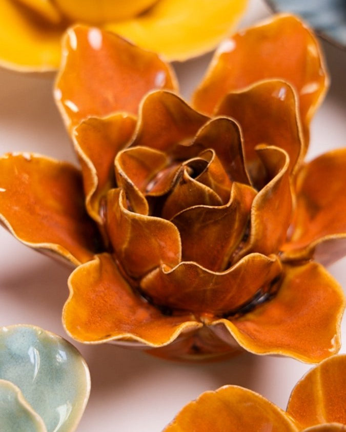 FR13 Burnt Orange Stargazer Lily - Chive US Wholesale