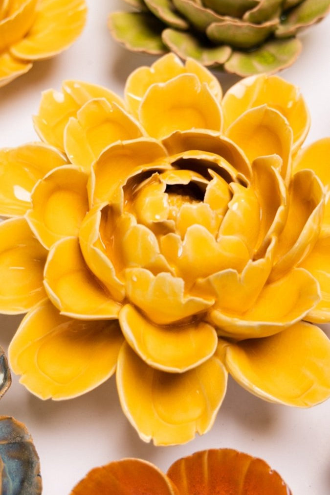 FR14 Burnt Yellow Empire Cabbage Flower - Chive US Wholesale