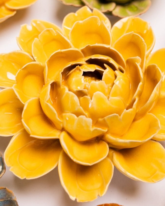 FR14 Burnt Yellow Empire Cabbage Flower - Chive US Wholesale