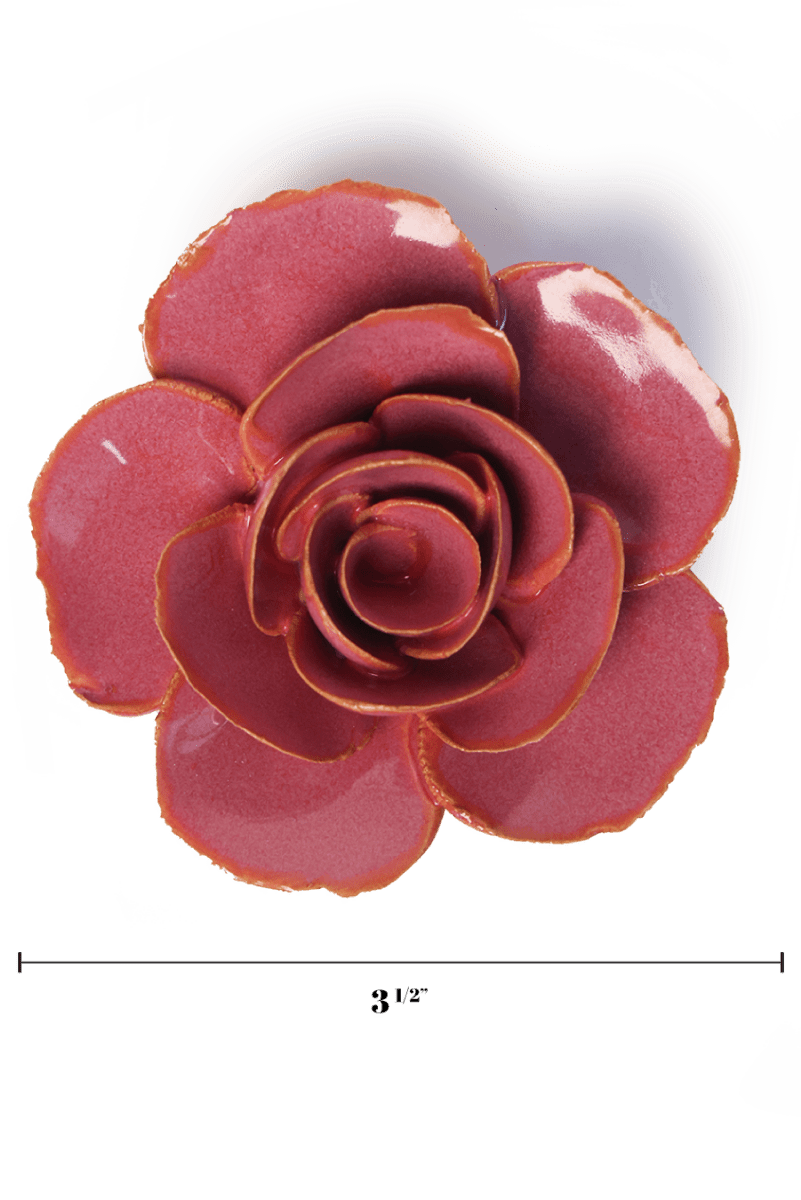 FR15 Blush Pink Elegance Ranunculus - Chive US Wholesale