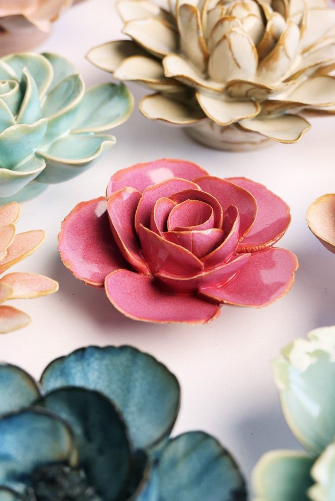 FR15 Blush Pink Elegance Ranunculus - Chive US Wholesale