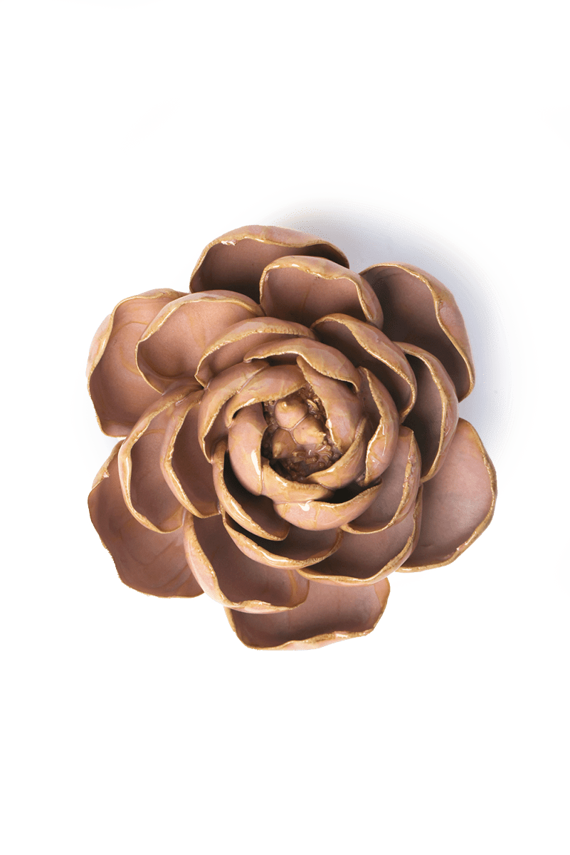 FR16 Rose Pink Big Ben Peony - Chive US Wholesale