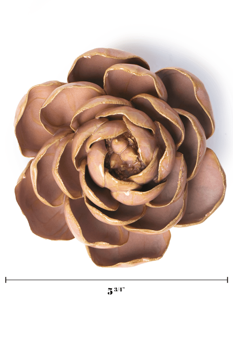 FR16 Rose Pink Big Ben Peony - Chive US Wholesale