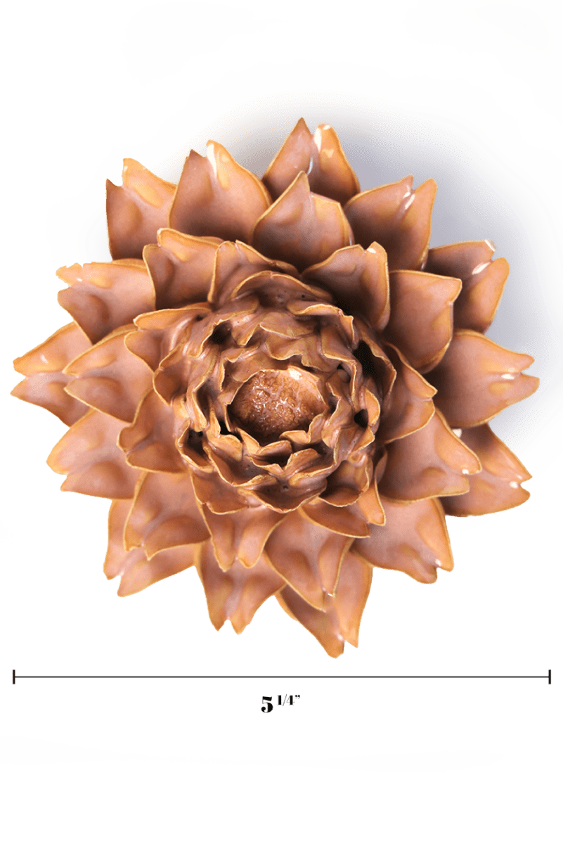 FR17 Rose Pink King Protea - Chive US Wholesale