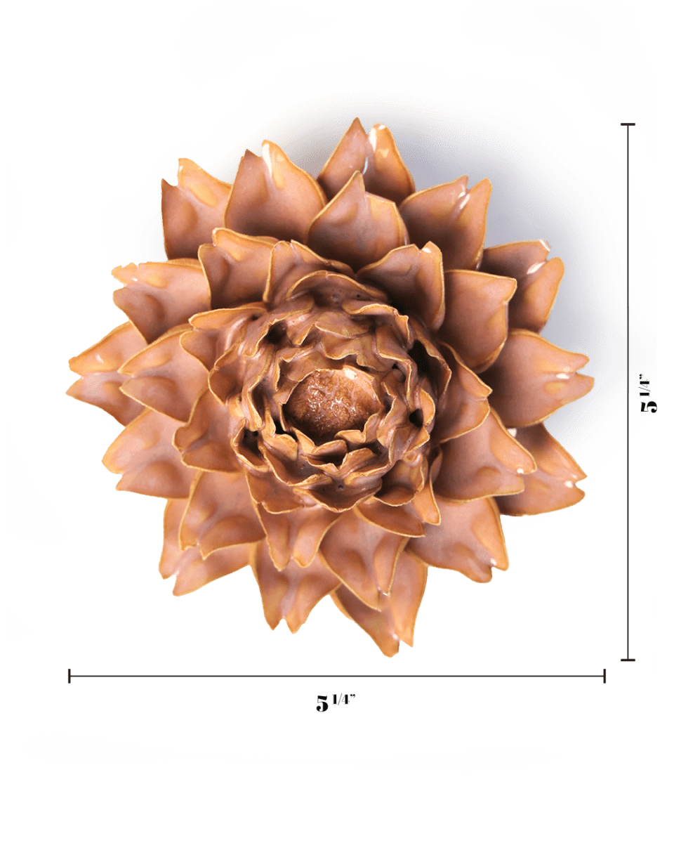 FR17 Rose Pink King Protea - Chive US Wholesale