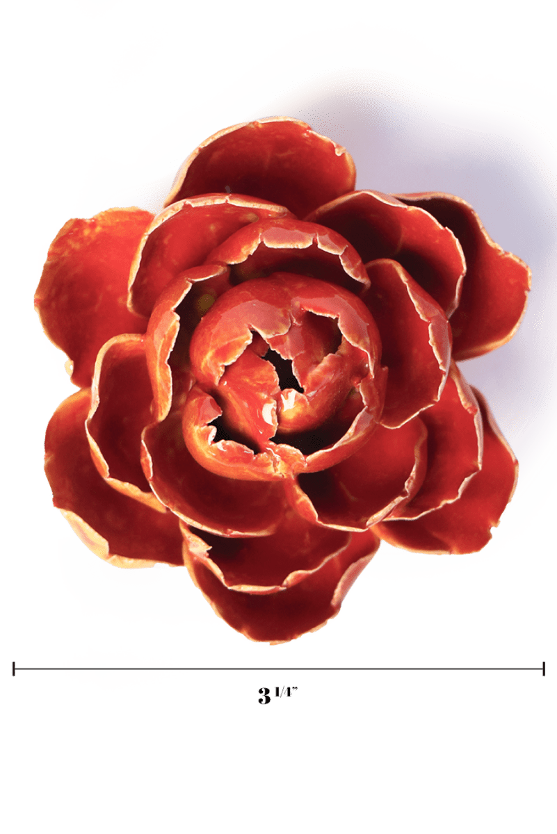 FR18 Orange Yellow Gay Paree Peony - Chive US Wholesale