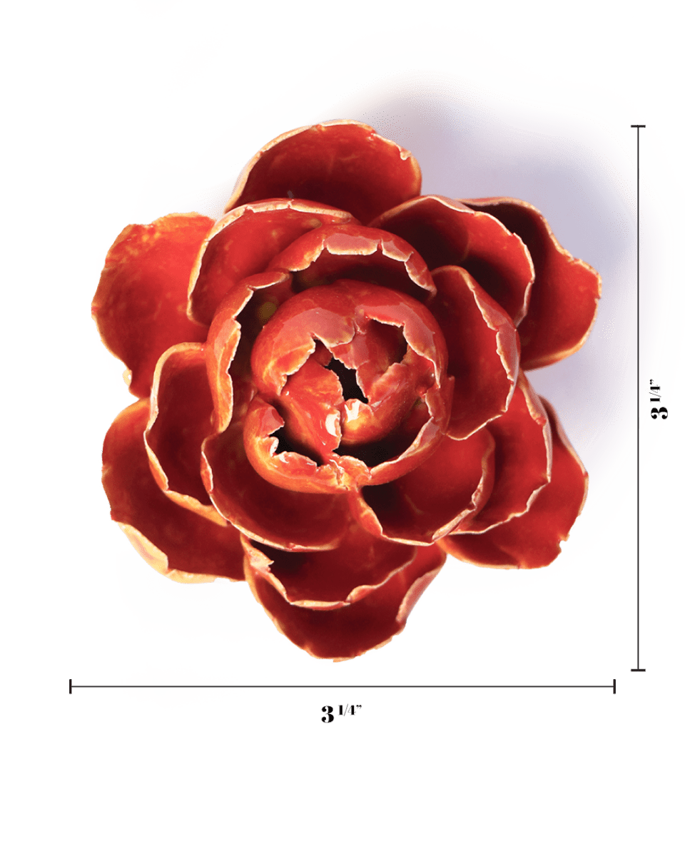 FR18 Orange Yellow Gay Paree Peony - Chive US Wholesale