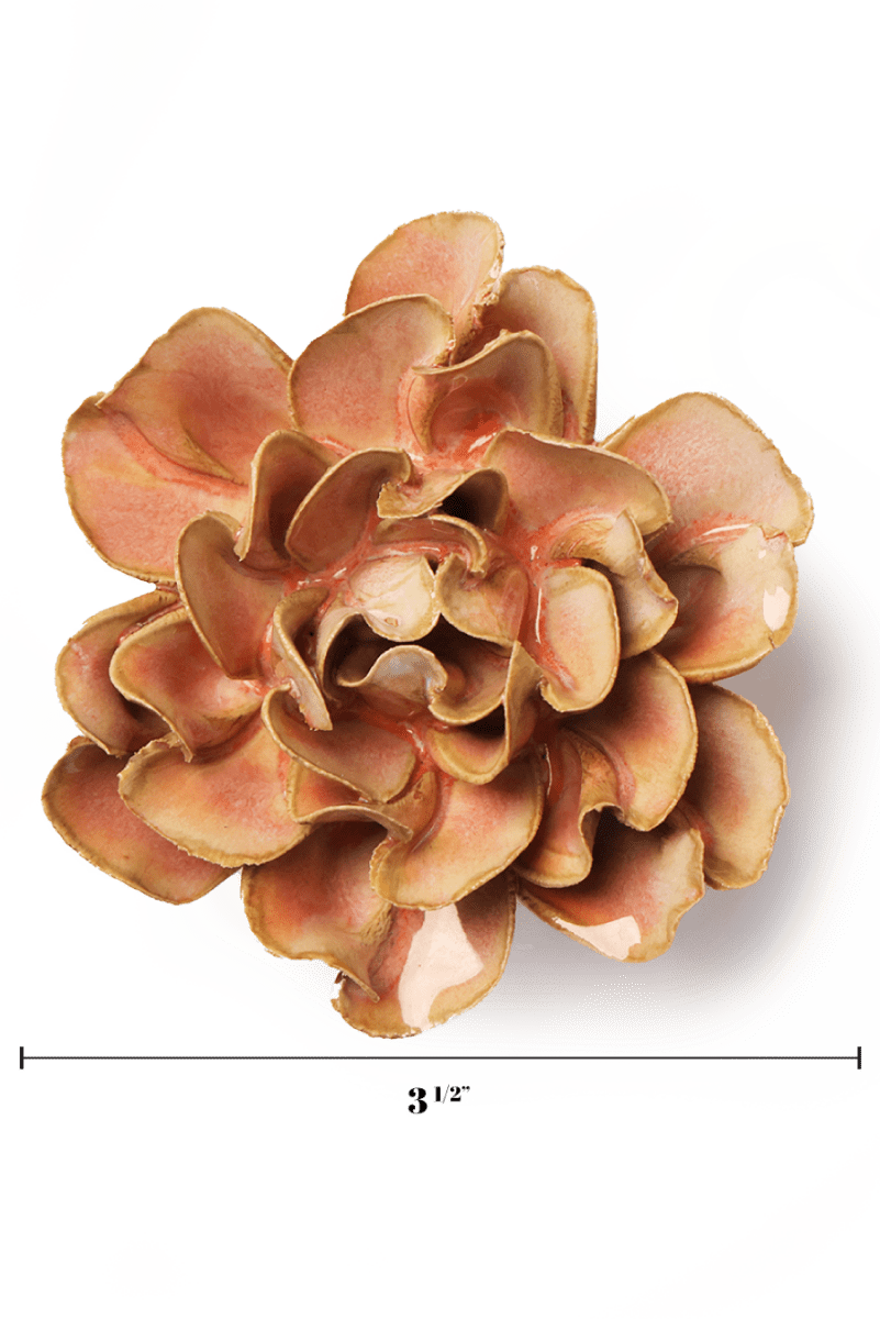 FR19 Rose Pink Hawthorn - Chive US Wholesale