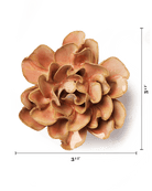 May Birth Flower - Hawthorn - Chive US Wholesale