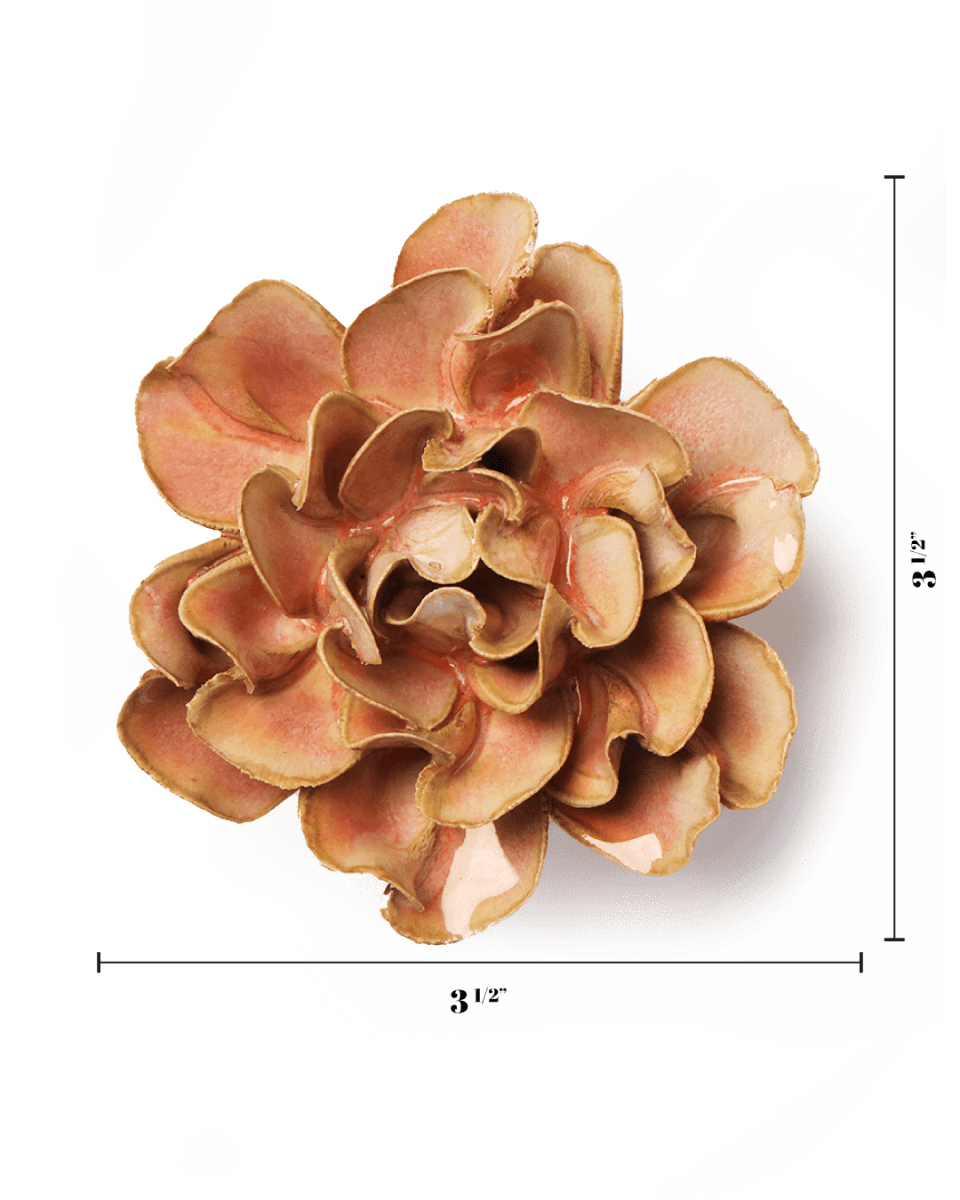 May Birth Flower - Hawthorn - Chive US Wholesale