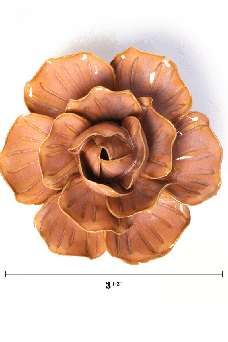 FR20 Peach Pink Solar Carnation - Chive US Wholesale