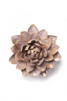 July Birth Flower - Waterlily - Chive US Wholesale