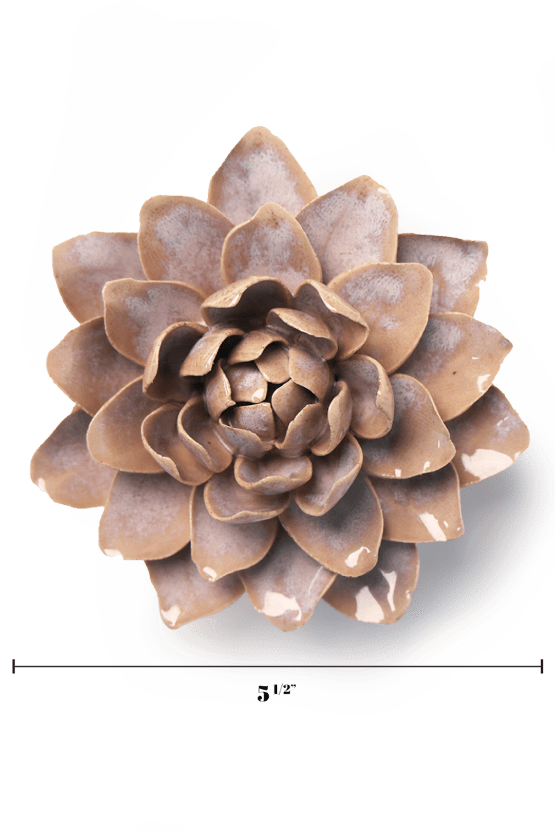 FR21 Pink Sand Starbrite Water Lily - Chive US Wholesale