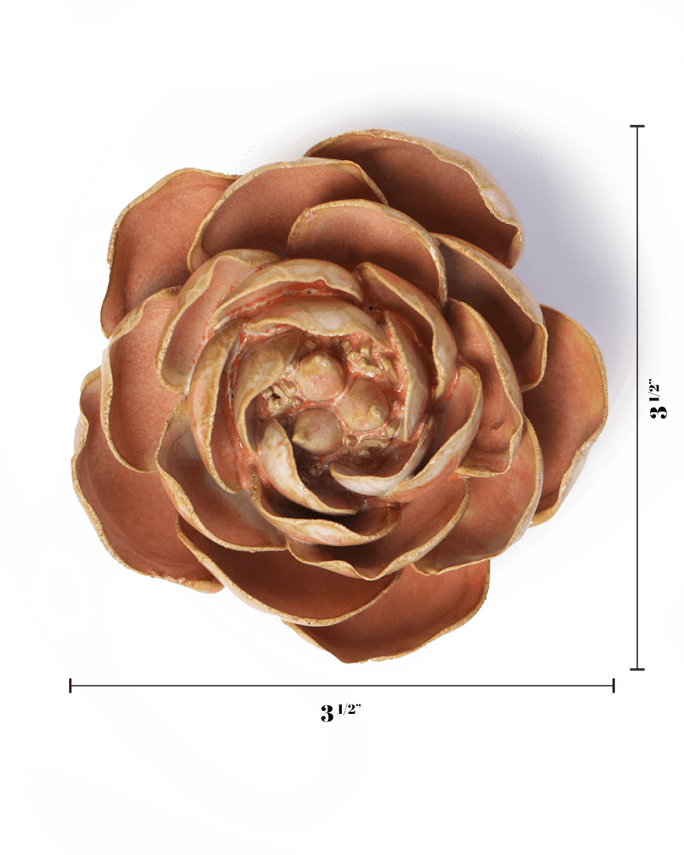 FR22 Peach Pink Big Ben Peony - Chive US Wholesale