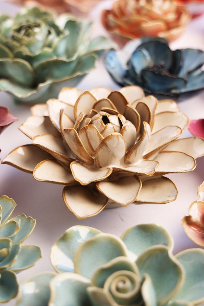 FR23 Oatmeal Starbrite Water Lily - Chive US Wholesale