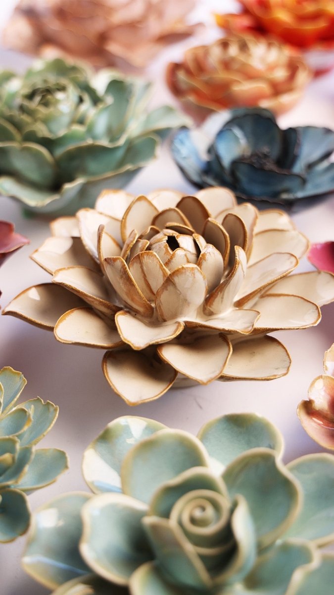 FR23 Oatmeal Starbrite Water Lily - Chive US Wholesale