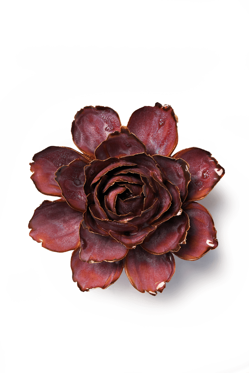 FR24 Dewberry Camellia - Chive US Wholesale