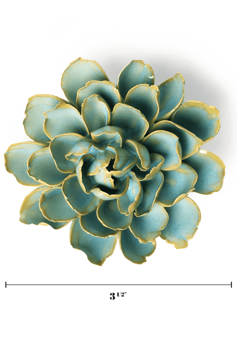 FR25 Robin's Egg Blue French Marigold - Chive US Wholesale