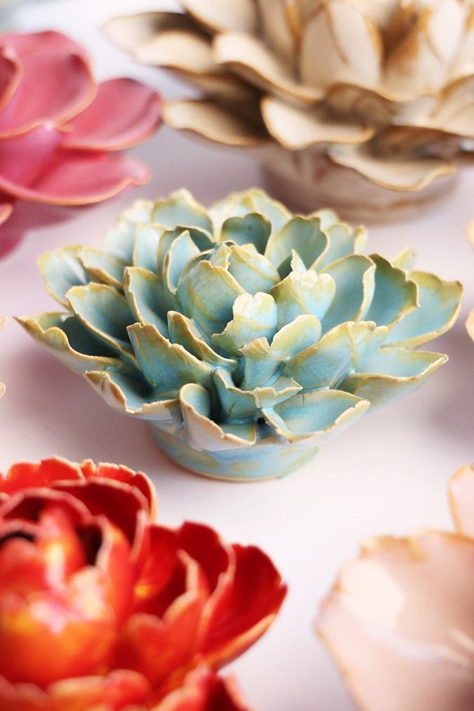 FR25 Robin's Egg Blue French Marigold - Chive US Wholesale