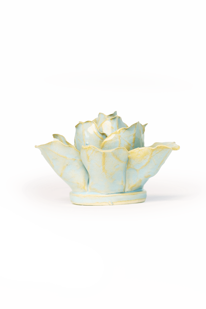 FR26 Robin's Egg Blue Stargazer Lily - Chive US Wholesale