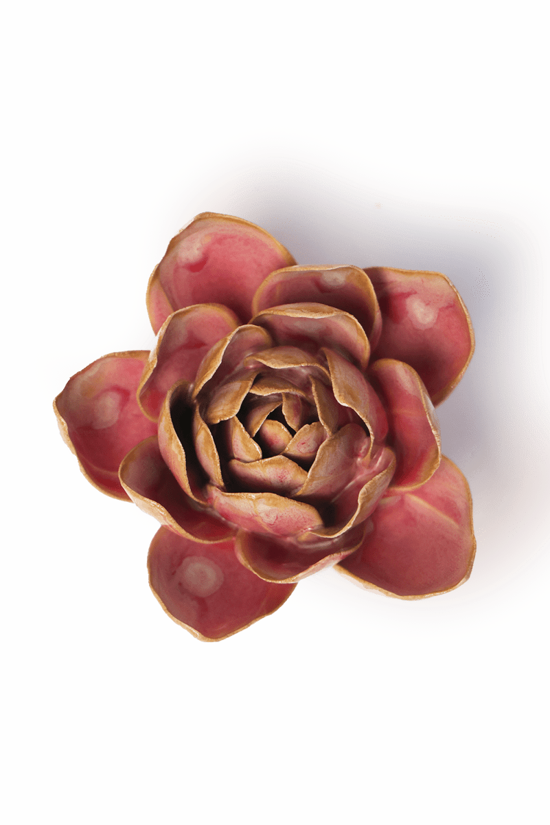 FR28 Rose Quartz Pink Narcissus - Chive US Wholesale