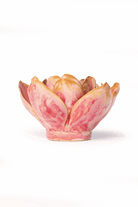 December Birth Flower - Narcissus - Chive US Wholesale