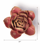 December Birth Flower - Narcissus - Chive US Wholesale