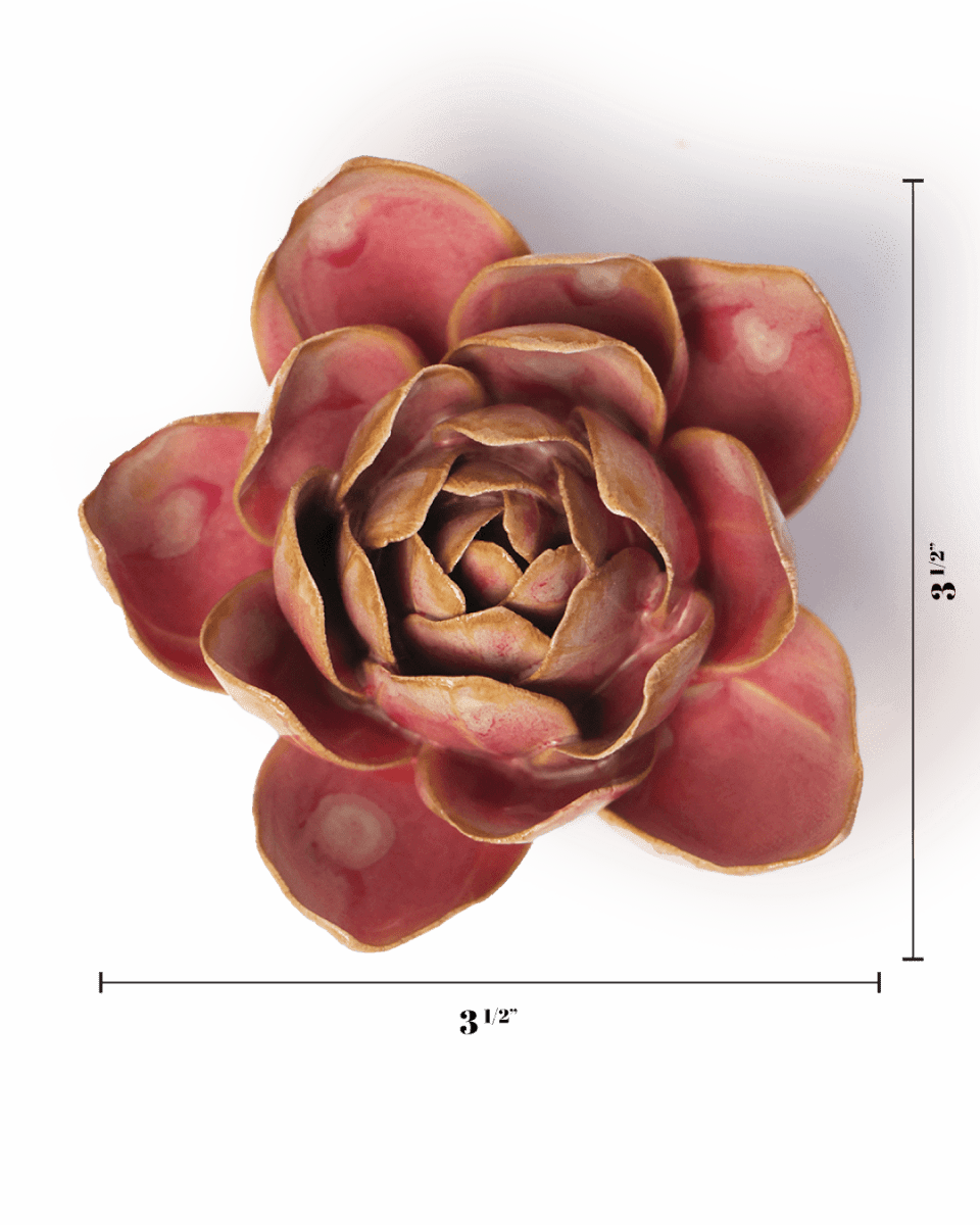 December Birth Flower - Narcissus - Chive US Wholesale