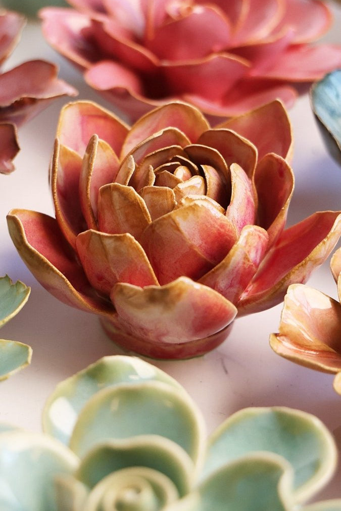 FR28 Rose Quartz Pink Narcissus - Chive US Wholesale