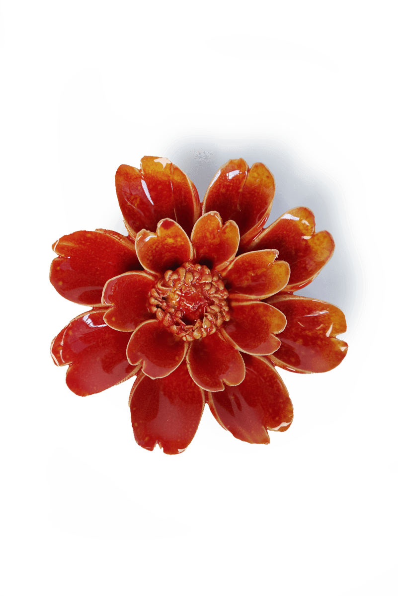 FR29 Orange Yellow Paris Daisy - Chive US Wholesale