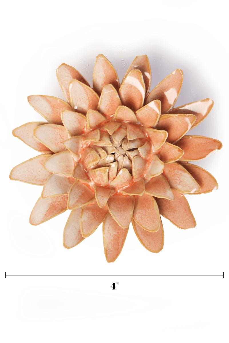 FR30 Peach Pink Strawflower - Chive US Wholesale