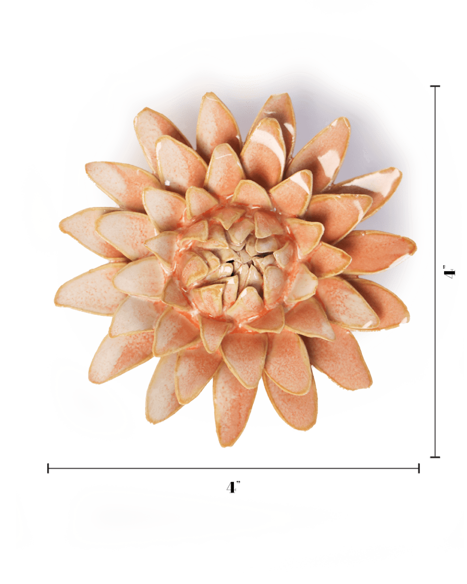 FR30 Peach Pink Strawflower - Chive US Wholesale