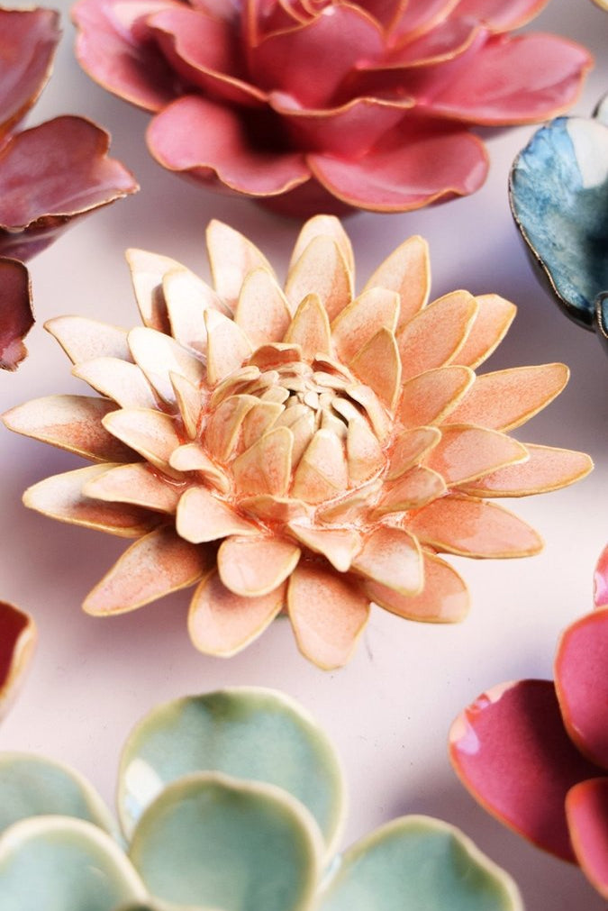 FR30 Peach Pink Strawflower - Chive US Wholesale