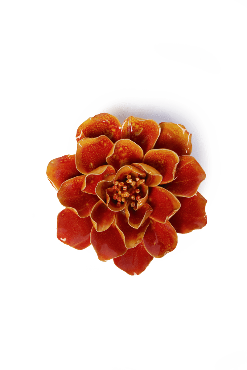 FR31 Orange Yellow Coreopsis - Chive US Wholesale