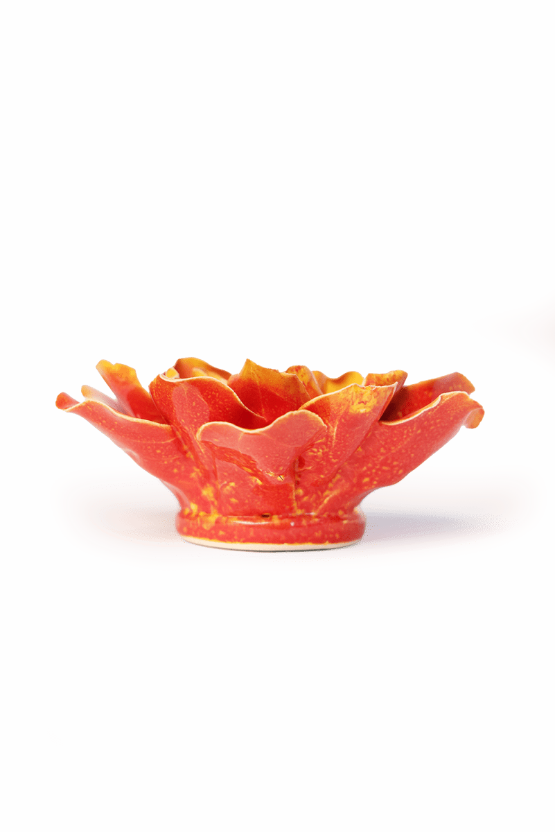 FR31 Orange Yellow Coreopsis - Chive US Wholesale