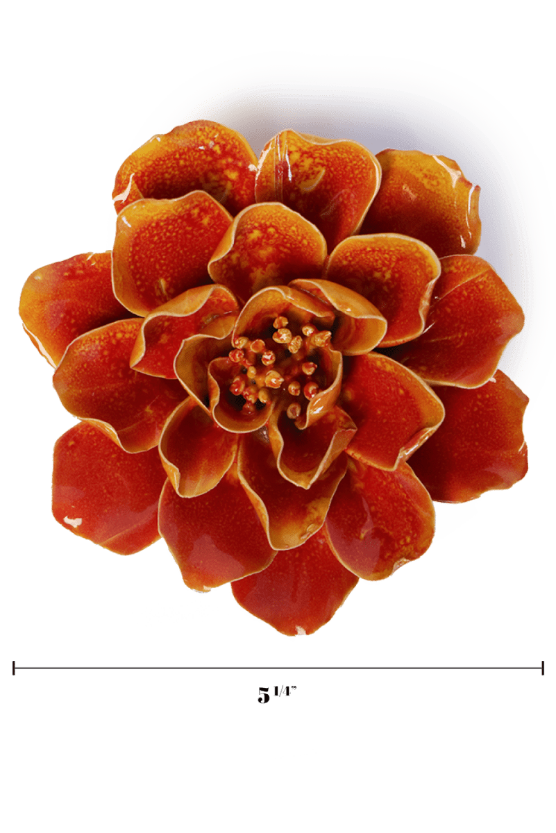 FR31 Orange Yellow Coreopsis - Chive US Wholesale