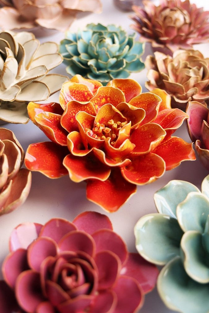 FR31 Orange Yellow Coreopsis - Chive US Wholesale