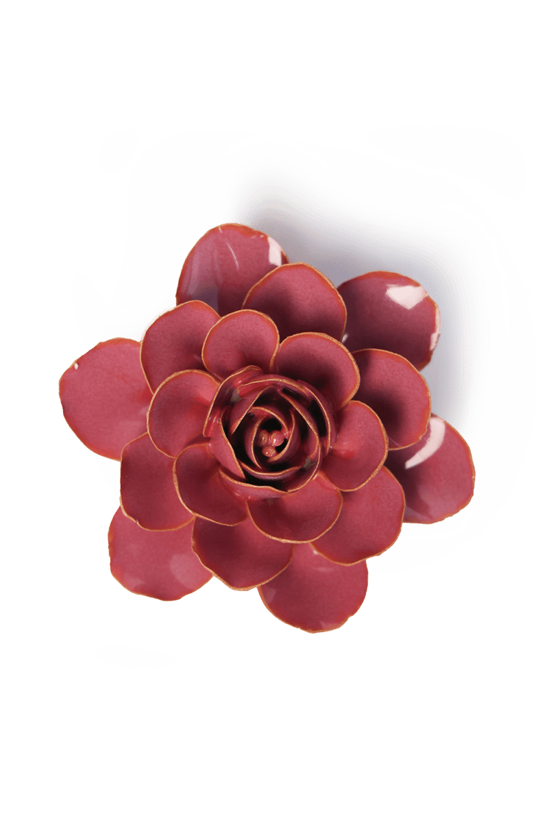 FR32 Blush Pink Begonia - Chive US Wholesale