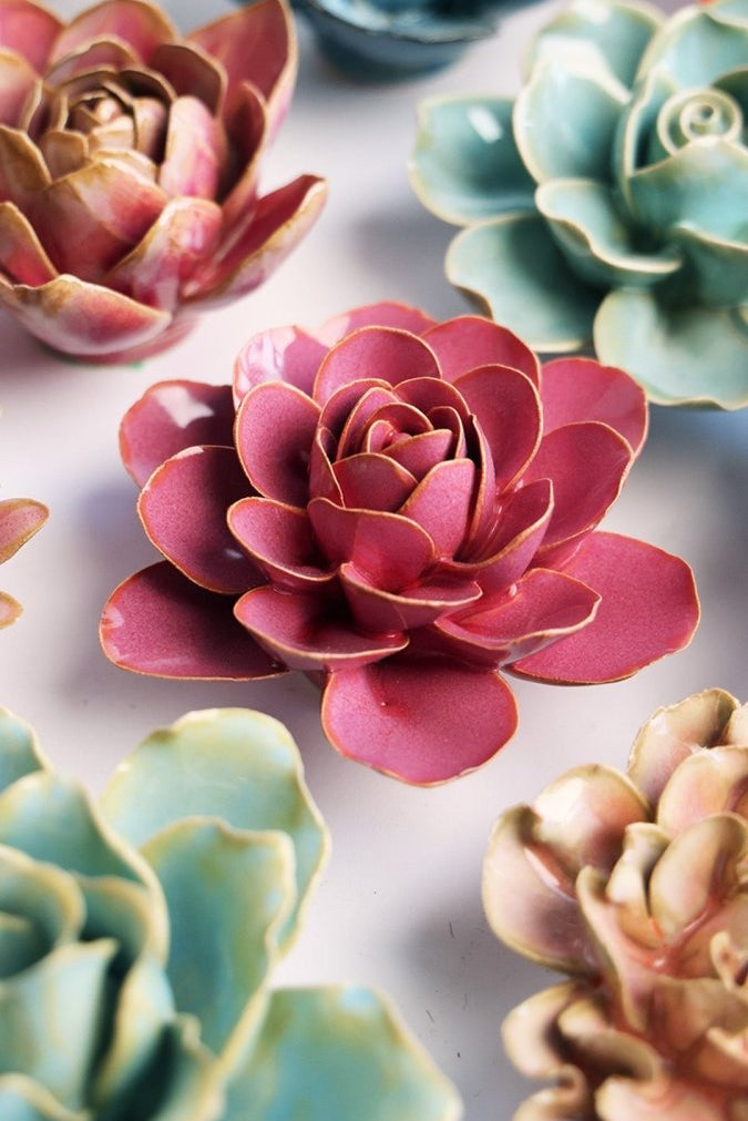 FR32 Blush Pink Begonia - Chive US Wholesale