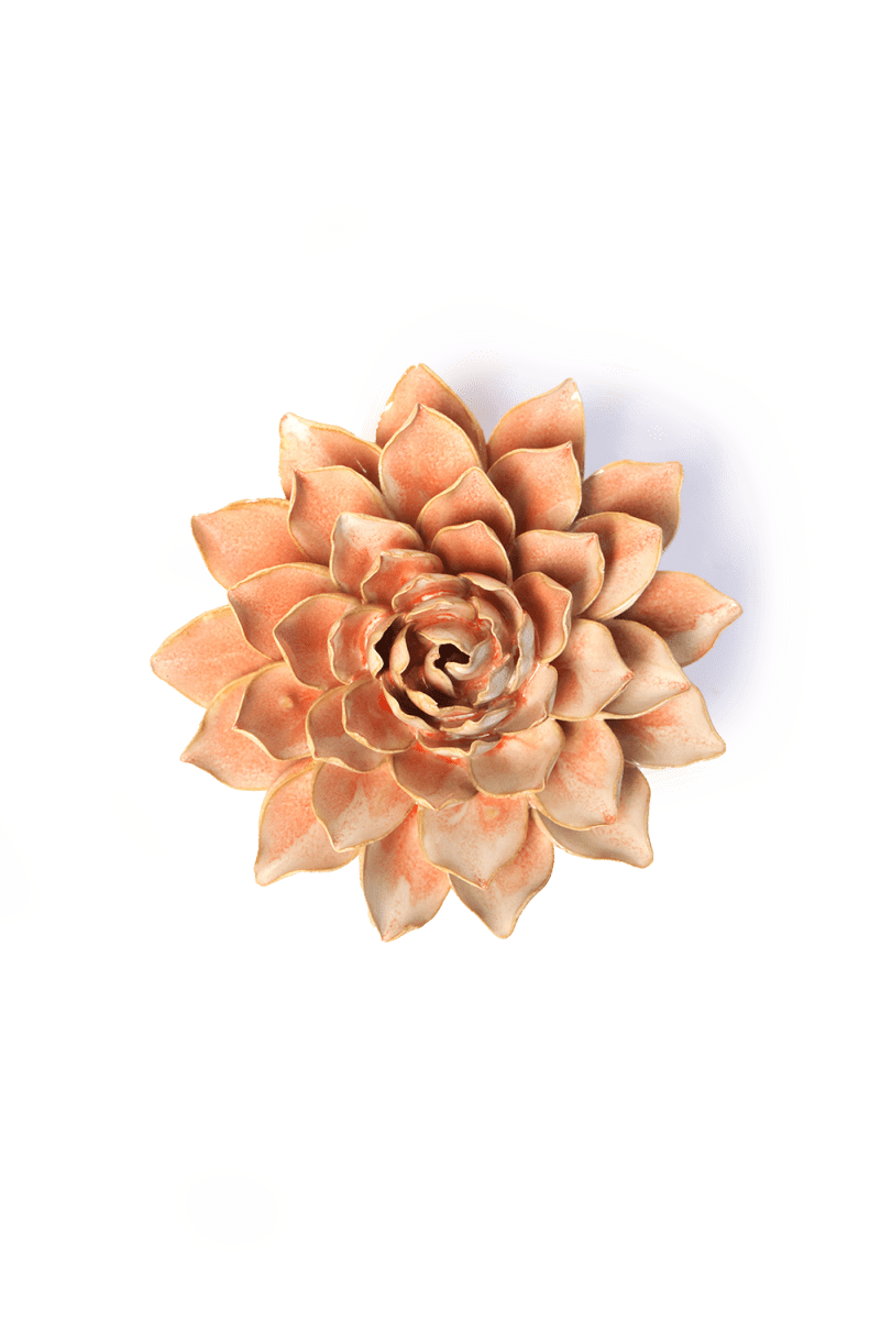 FR33 Peach Pink Madonna Azalea - Chive US Wholesale