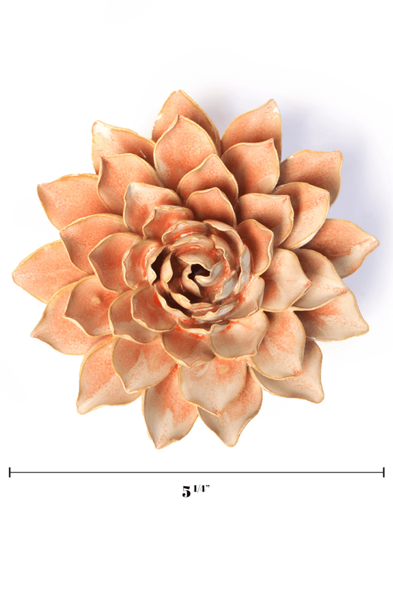 FR33 Peach Pink Madonna Azalea - Chive US Wholesale