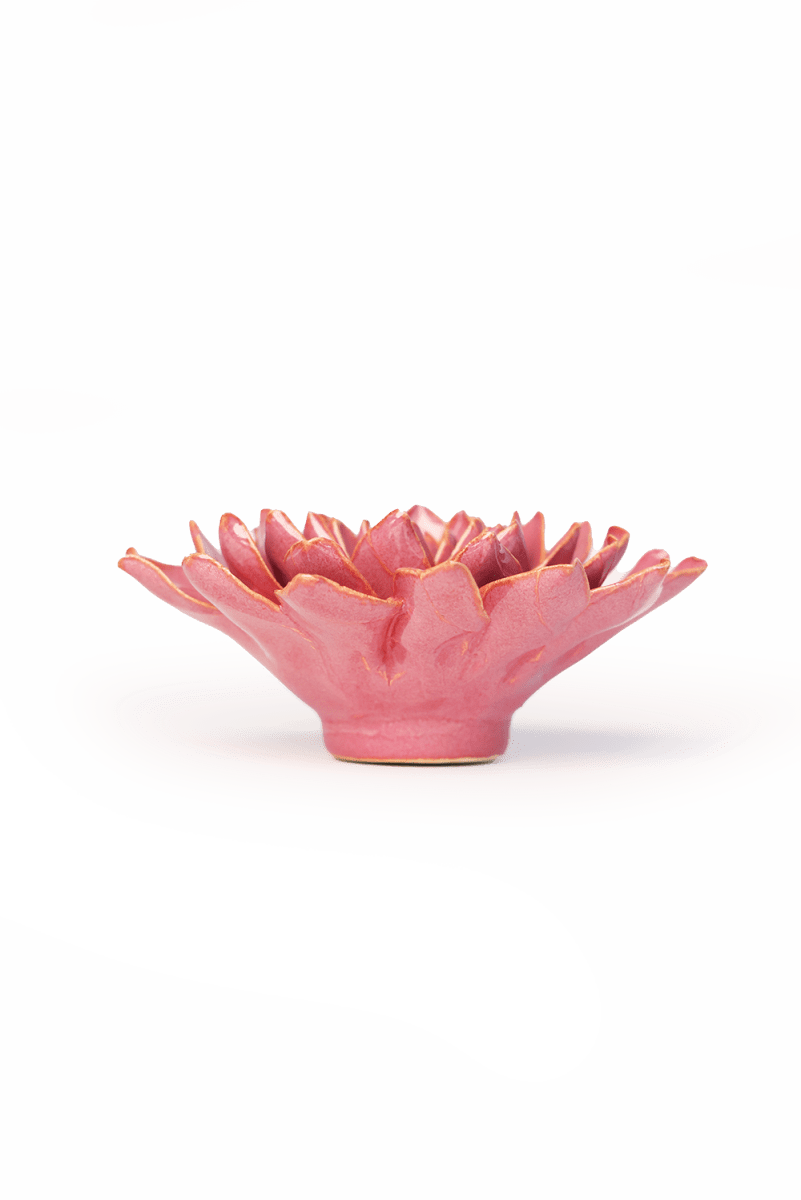 FR34 Blush Pink Madonna Azalea - Chive US Wholesale