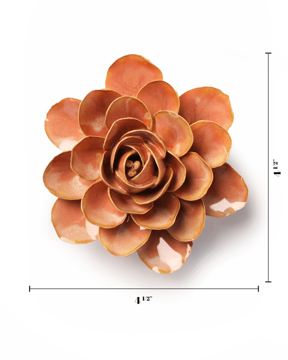 FR35 Peach Pink Begonia - Chive US Wholesale