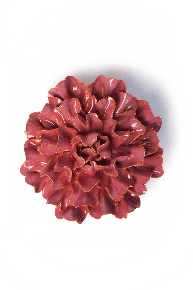 FR36 Blush Pink Tundra Carnation - Chive US Wholesale