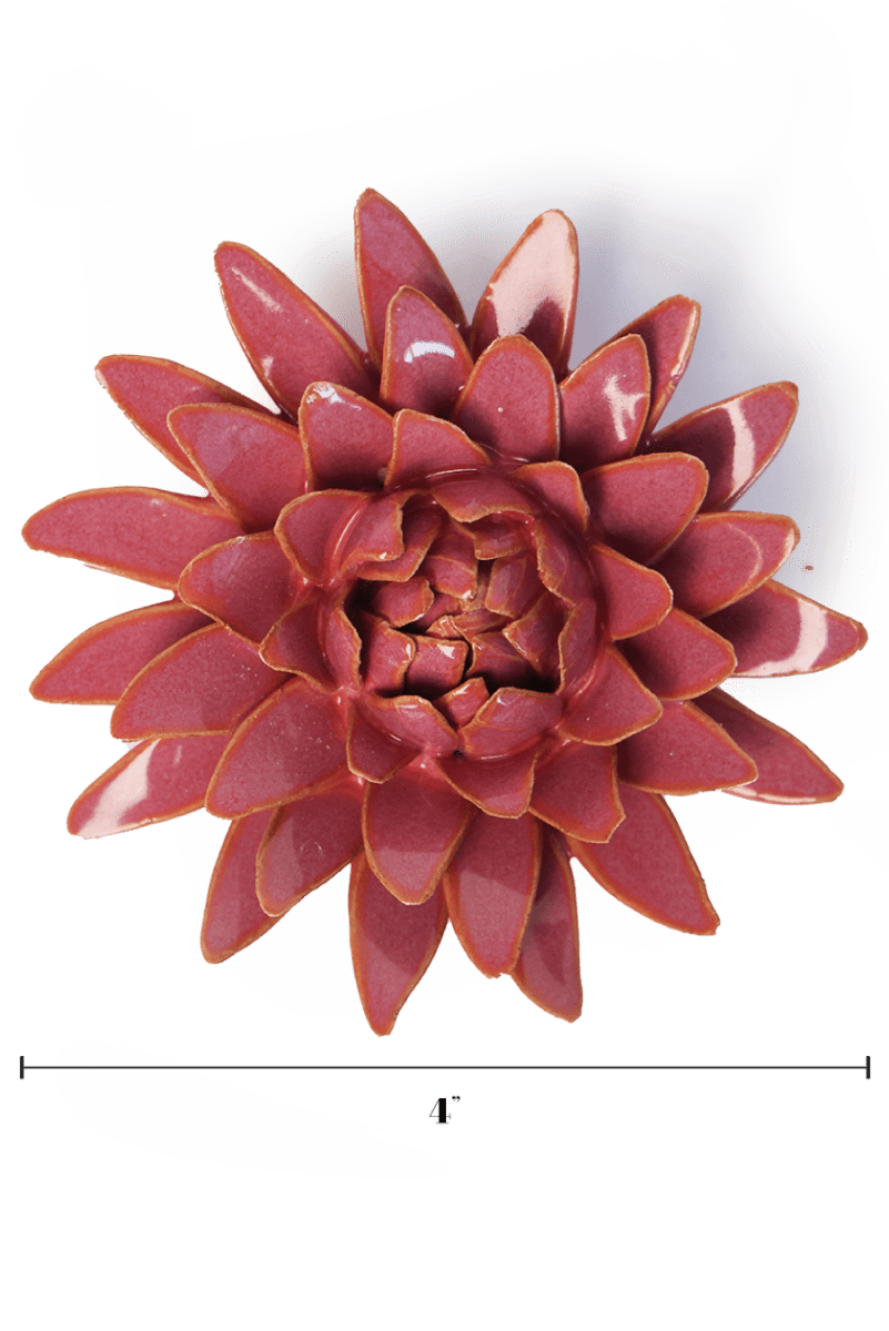 FR37 Blush Pink Strawflower - Chive US Wholesale