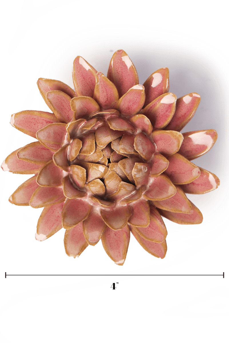 FR38 Rose Quartz Pink Strawflower - Chive US Wholesale