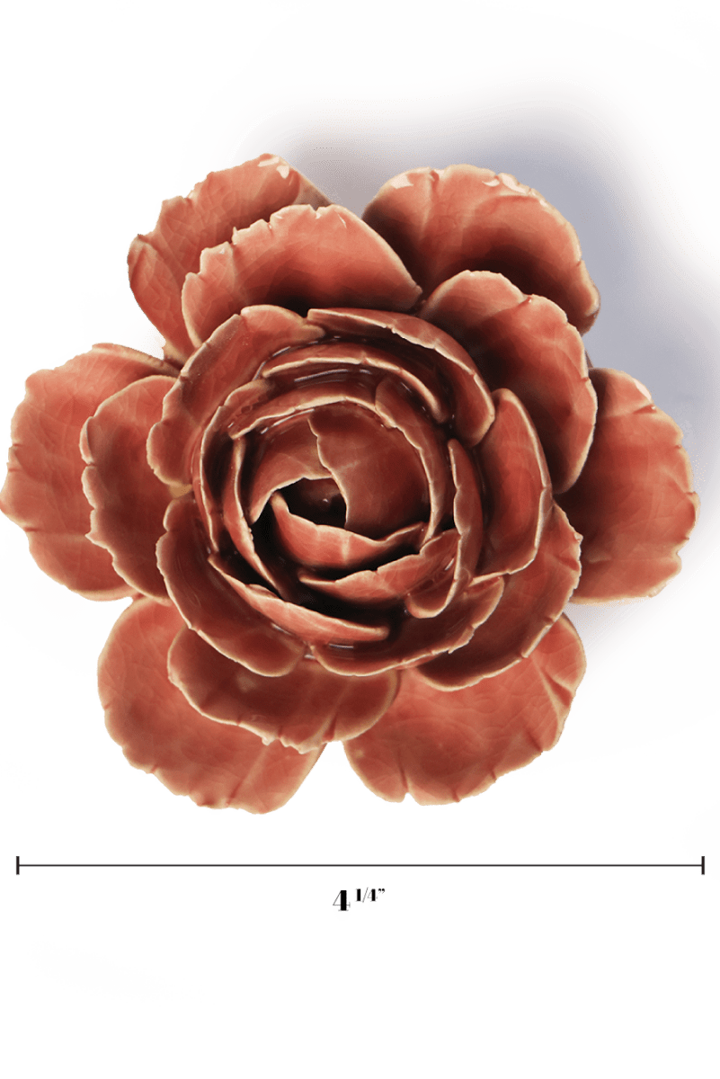 FR39 Champagne Pink English Rose - Chive US Wholesale