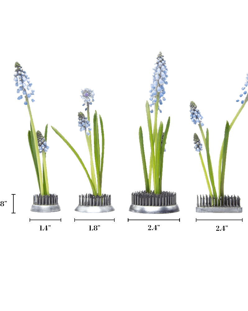 Kenzan Metal Floral Frogs For Ikebana - Chive US Wholesale